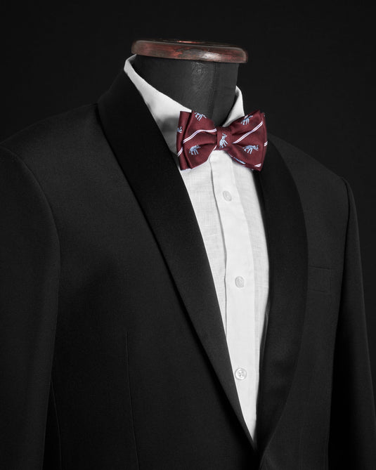 The Maroon x light blue Bow Tie